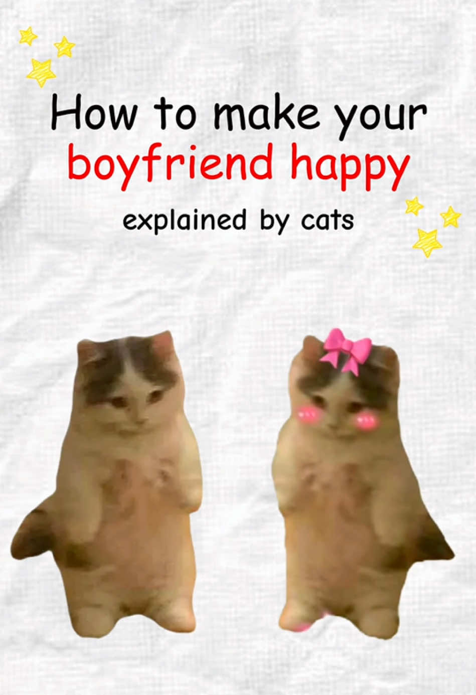 How to make your boyfriend happy #catanimation #cats #kittycat #kittyexplains 