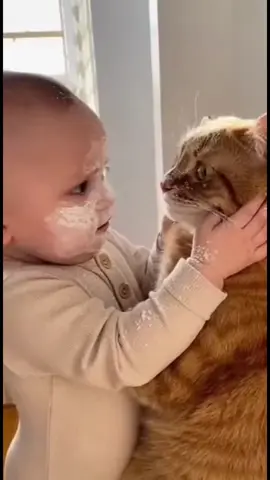 #pets #fyp #cat #baby 