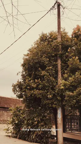 Masa Kecilmu Akan Menjadi Kenangan Yang Tidak Akan Terlupakan😊 #masakecil #fyp #vibes #viral #tuban24jam 