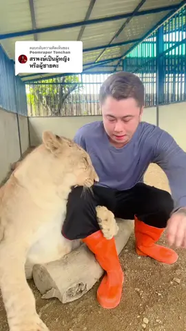 ลูกกูเป็นผู้ชายออกสาว🤣🤣🤣 #มเหสี #ป้าเกมส์พี่หนิง #สรพงษ์ #หนิง #คู่รักสายฮา    