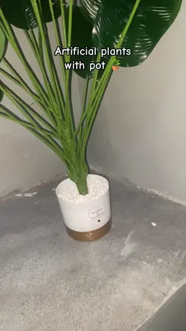 para sa aesthetic mong bahay 🪴🏡 #artificialplants #fakeplants #homedecor #greenplants #plasticplants 