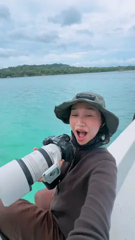 kuntul karang - ujung kulon