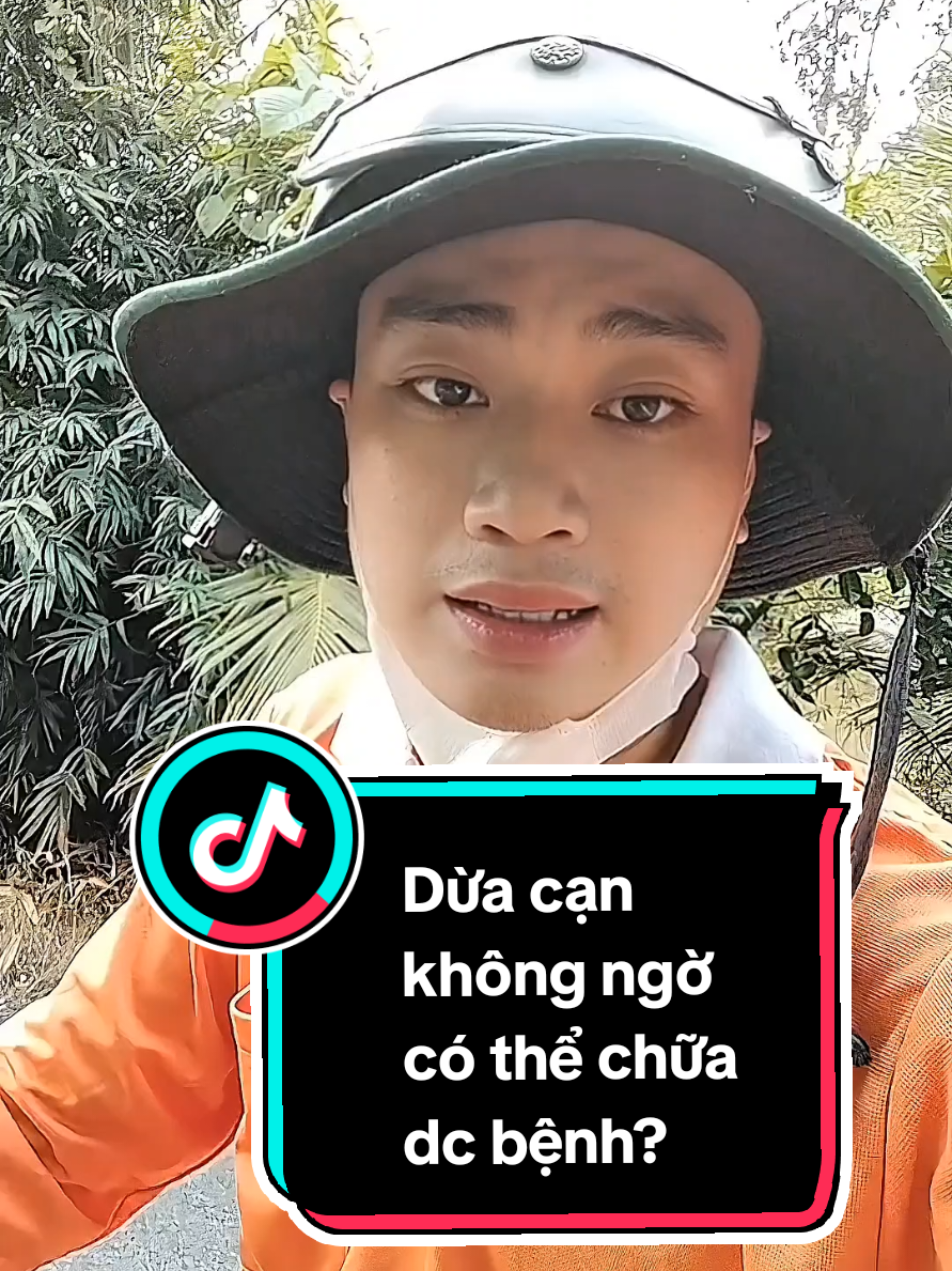 Trả lời @honguyen95950 Dừa cạn không ngờ có thể chữa được bệnh?#Tấntài66 #cachchuabenhtainha #meochuabenhdangian #sứckhoẻlàvàng #dừacạn 