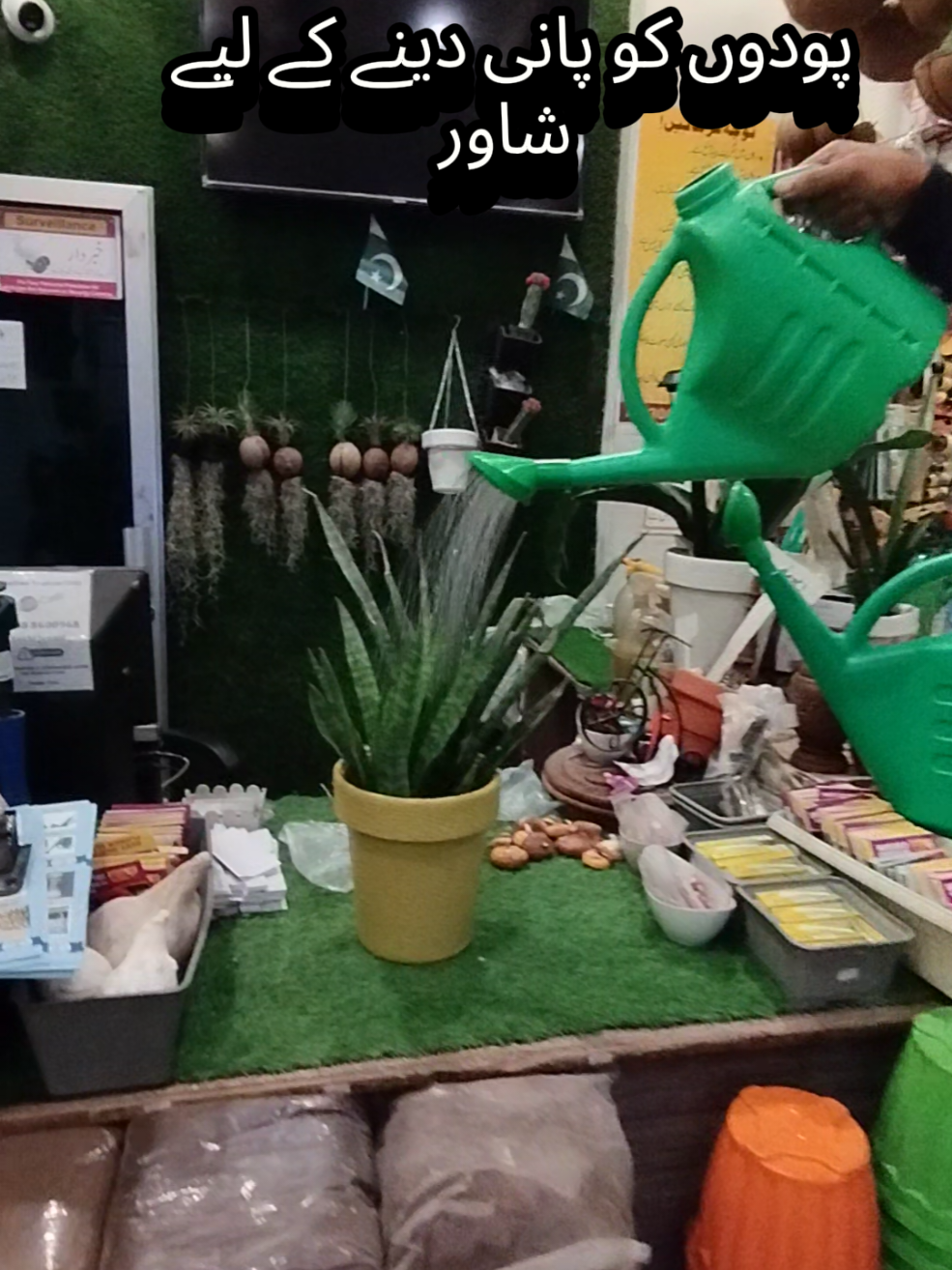 پودوں کو پانی دینے کے لیے واٹر کین  #watercan #shower  #HomeDecor #pots #PlantLovers 