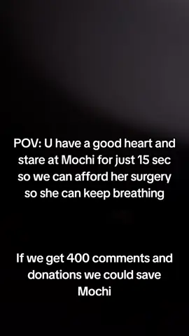 𝗗𝗼𝗻𝗮𝘁𝗶𝗼𝗻 𝗶𝗻 𝗯𝗶𝗼❤️ This is Mochi my little baby, my best friend, my whole world. She was just diagnosed with a life-threatening  illness, and without treatment..she won't make it. The vet said we need $4300 to start her care and give her a real chance Watching her get weaker each day is the hardest thing l've ever faced. 1 just want to hold onto her a little longer. Please...if you see this, help us. Even $1 or just a share could save her life, She's only 4 years old ...she still has so much love left to give Help us save Mochi's life. Thank you from the bottom of my heart #savemydog #savemybaby #doglove 