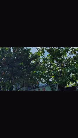 Đúng là Camry... nhìn đâu cũng thấy đẹp🤗