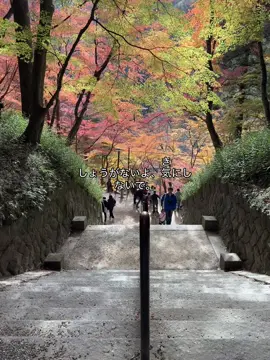 #japan #hiragana #日本語 #furigana #zeiisdumb 