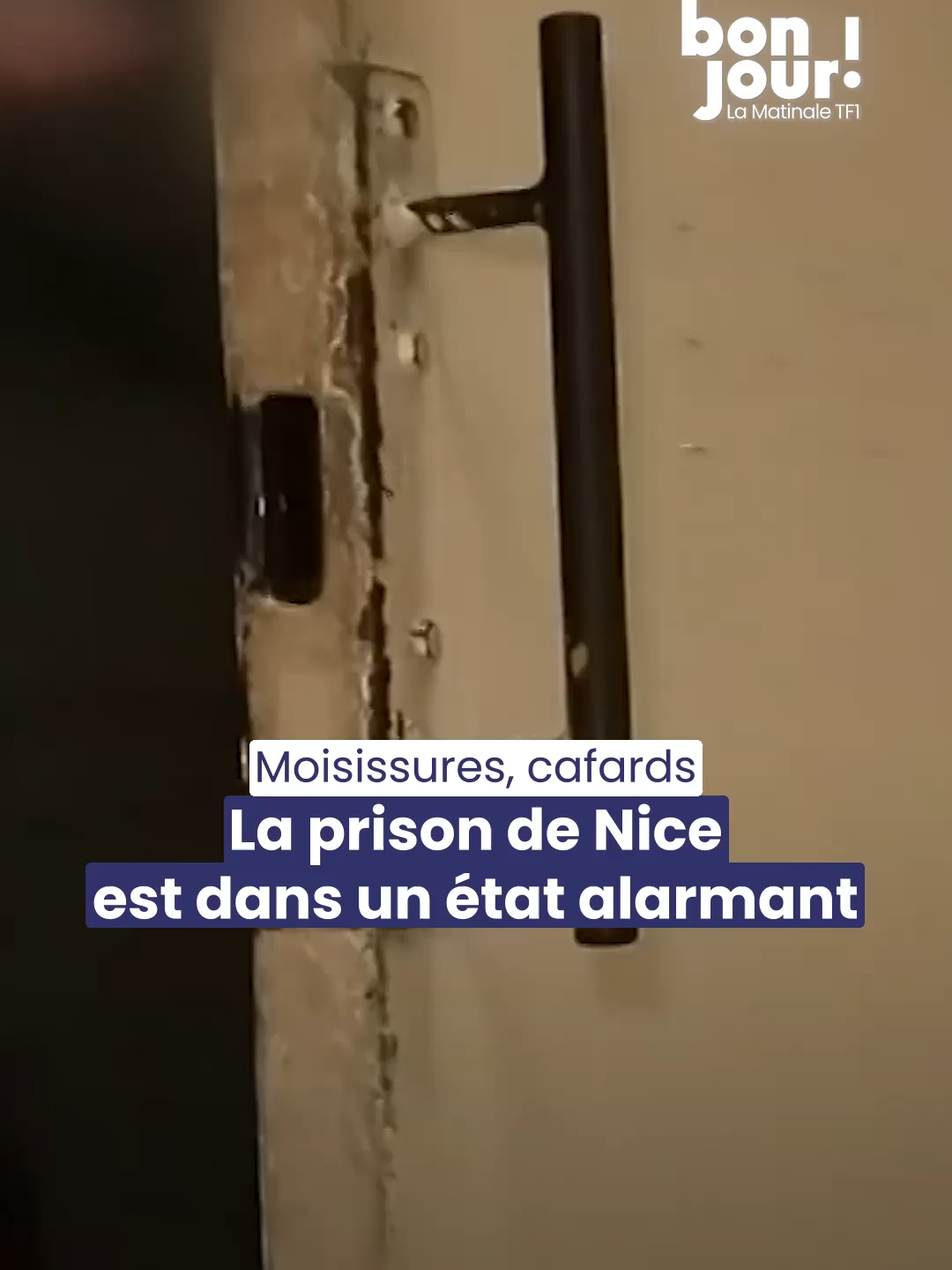 🔴 Moisissures, cafards, surpopulation... La prison de Nice est dans un état alarmant ! ▶️ Le taux d’occupation du quartier des hommes atteint 195 %, soit presque le double de sa capacité. Cela entraîne des conséquences directes sur les conditions de détention : certains détenus sont contraints de dormir sur des matelas posés à même le sol, faute de moyens suffisants.