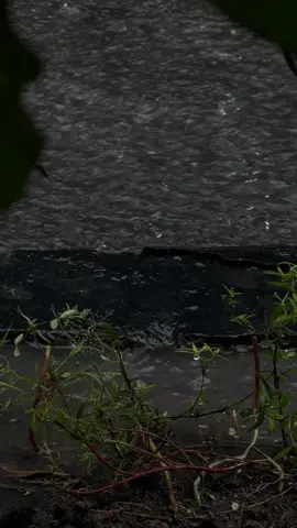 Tôi không có một cuộc đời đáng để tự hào, vì quanh tôi đầy rẫy sự sai trái, rất nhiều lần tôi tưởng tượng hình ảnh của mình ở một cuộc đời khác, nơi đó rất đẹp còn tôi thì rất tốt.