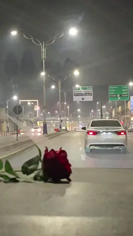 #tiktok #هيثميات #هيثمياتhaithamyat💕هيثم_يوسف🎶 #اميرالحب #