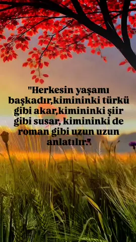 #CapCut  #anlamlısözler  #kısasözler  #şiir #şiirler 