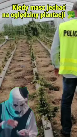 bo dobra ekipa to połowa sukcesu! a współpraca z innymi wydziałami to podstawa! #policjant #policja #technikkryminalistyki #kryminalistyka #mem 