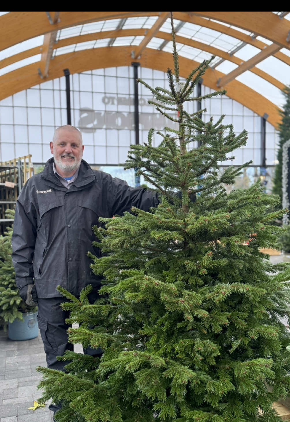 When is everyone putting their Christmas Trees up?🎄✨ All of our fresh cut Scottish Highland grown Christmas trees have arrivals at Simpsons in Inverness, Mintlaw & Fochabers ready to shop this weekend!  Pop in to hand pick your favourite, and don’t forget to get all of your gorgeous decorations too from in-store ✨ #christmastree #christmas #scottishhighlands #trees 