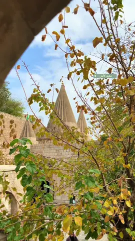 معبد لالش🤍🦚#لالش 