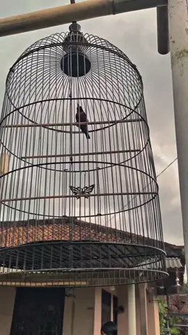 @BSR @Bengkel_KONIN #koninmania #koninamel 