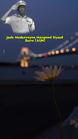 jaale Madaxweyne Maxamed Siyaad Barre {AUN} #suugaan #gabay #foryou #poetry #foreyoupage👍💞 