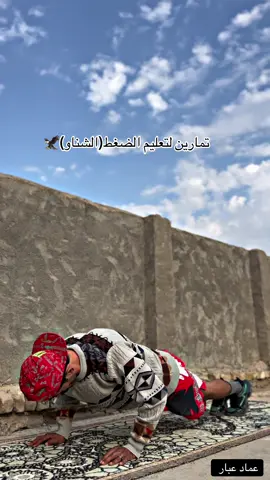 تمارين لتعليم الضغط الشناو🦅#صعدو #عماد_عبار #تمارين_عماد_عبار #بيت_عبار #fyp 