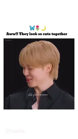 #jimin #jungkook #btsforeverrrrr #bts 