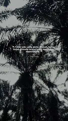 🙂#fyp #foryou #capcut #kulisawit #sawitkalimantan 