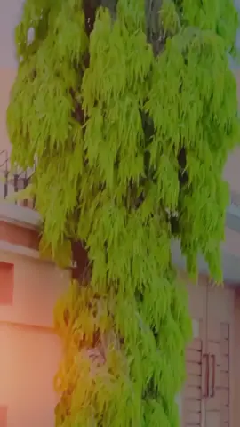 #creatorsearchinsight #sportsontiktok#unfrezzmyaccount #foryoupage 