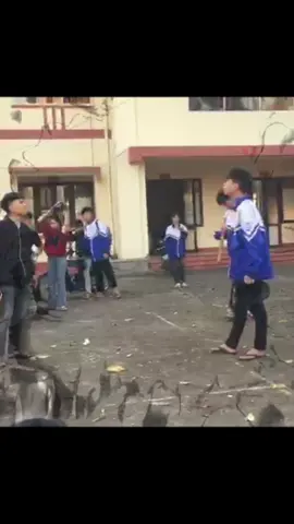 IBSVMBAD#xh #fyp #xuhuong 