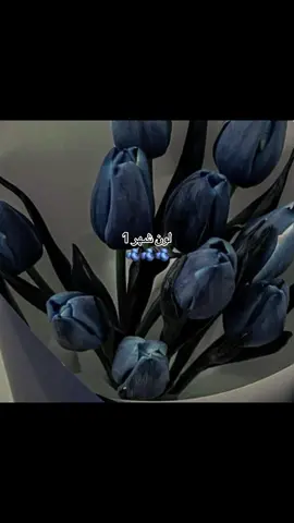 كحلي#fyppppppppppppppppppppppp #foryou #pov #احبكم_يا_احلى_متابعين😣💗 #محد 