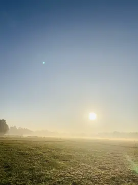 BG💥⚡ . . . .#capton #trending 