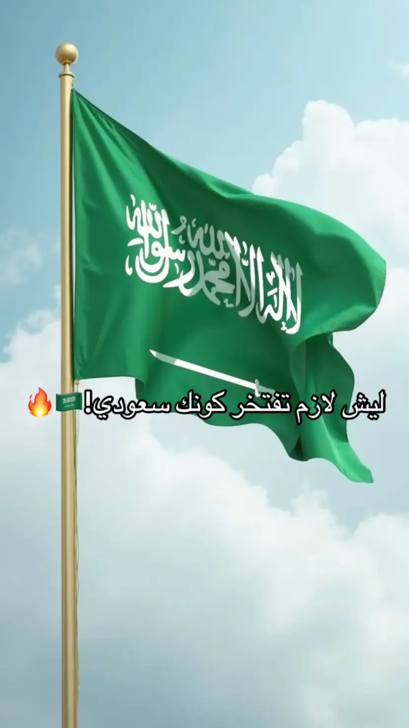 🇸🇦🇸🇦🔥#السعودية #فخر_العرب #fyp #fyppppppppppppppppppppppp #viral 