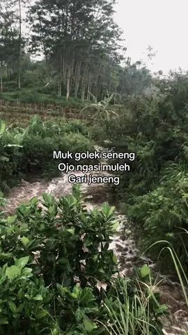 Ktp jangan lupa dibawa #masher #ikandewa #fyppppppppppppppppppppppp #kemuningskyhills #tawangmangu 