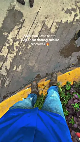 tpi. Bohong #HYNC #SLNC #yypシ #bugissinjai 