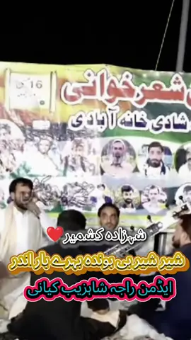 کدوں گدڑاں ماڑ شکار کھادے راجہ حفیظ بابر شہزادہ کشمیر