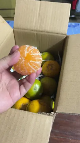 #ส้ม #ส้มเชียงใหม่ #ส้มสายน้ําผึ้ง #เชียงใหม่ 