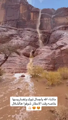 #اكسبلور #viral #fypシ 