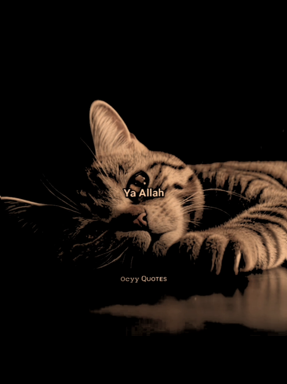 #berandafyp #katakatamutiara #katakatamotivasi #4u #fyp 