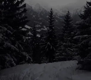 #женятрофимов #music #lyrics #футажи #футажстекстом 