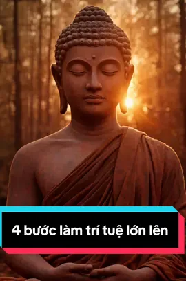 Trí tuệ không lớn theo tuổi vì sao như vậy? Câu trả lời được Đức Phật chỉ rõ từ 2.500 năm trước.###loiphatday##TikTokPhatPhap##phatgiao##chanhphap