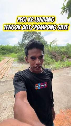 Macam tidak saba menunggu#pektammahadi #pelautpunyacerita #kelong #fypppppppppppppppppppppp #kelong 