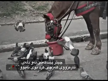 وتەیک جوان جی بێلە🖤🥀#فارس_قطرية🖤✨ #foryou #foryoupage #fypシ゚viral🖤tiktok☆♡🦋myvideo 