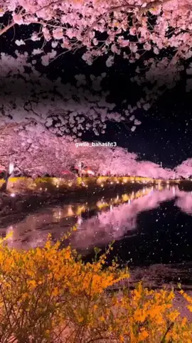 #استغفرالله #سبحان_الله❤️🌱 #الحمدالله_علی_کل_حال❤ #اللهم_صل_وسلم_على_نبينا_محمد 🤍🕊️