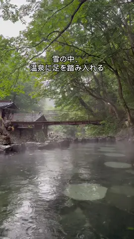 📍 宝川温泉, 汪泉閣 ♨️1936年創業、宝川沿いに建っています。 夏と冬どっちが好きですか？❄️🌧️ #宝川温泉 #汪泉閣 #群馬旅行 #国内旅行 #旅館