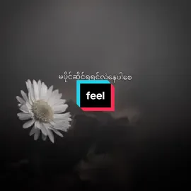 ပျော်ရွင်စေချင်တယ် #feeledit #tiktokmyanmar #foryou #fyp #fyp 