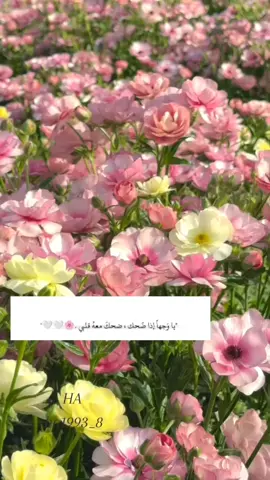 له مبسم كنّه سماء الحجاز لا أمطرت  ‏وفي عيونه سحر جدة بحّزة مطر ..♥️♥️ #foryoupage #fypシ゚viral🖤tiktok #pov #اكسبلور 