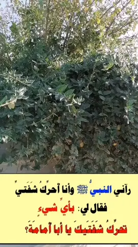 #ذكر #دعاء #اكسبلور #ترند_تيك_توك #سوري_على_قيد_الحياة دعاء شامل لكل شيء 