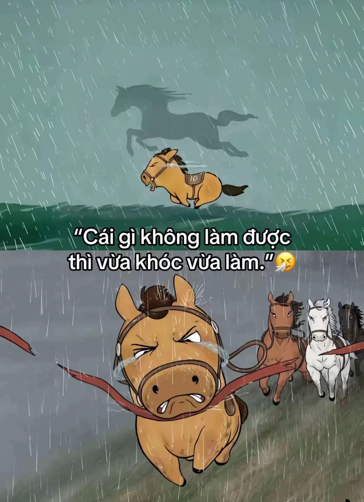 Thế thôi😎#xh #fyp #xuhuong #congannhandan 