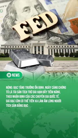 BẠC CÀNG NGÀY CÀNG CHỨNG MINH LÀ TÀI SẢN TÍCH TRỮ TIỀM NĂNG #theanh28news #theanh28 #tiktoknews 