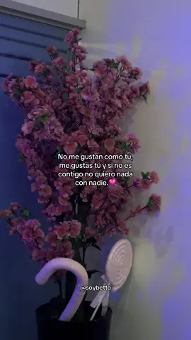 Si no eres tú no quiero con nadie #parati #fyp #novios #amor #fouryou 