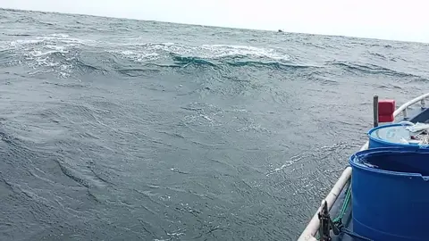 මේ මොහොතේ මුහුදේ සිටින සියලුම ධීවරයින් ආරක්ෂා කරන්න දෙන්න දෙවිදුනී දෙවොල් සීනීගම 🥺🐬 අම්මා කාලී පිහිටයී ! 💖🐬 #onemillionaudition #ti̇ktok #foryou #foryoupage #fyp @sanka_Putha_❤️🍂🇱🇰 @prdeep⛵⛵⛵🛥️⛵🥰🥰 @@poddaa&S❣️ 