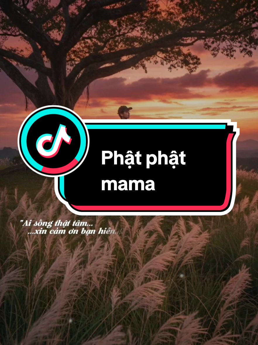 Ai sống thật tâm xin cám ơn bạn hiền... #nhipcamxuc_95 #sbtentertainment #nhachaymoingay #fyp 