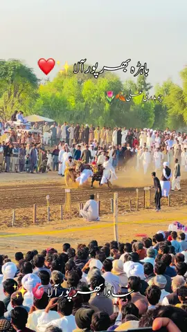 داند باہڑہ بھر پور آلا🖤🫶#viralvideo #foryou #foryoupage #trendingvideo🦁🦁 #viralvideo 