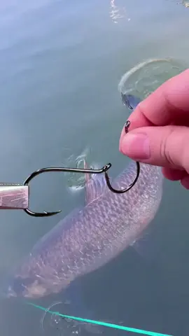 #fishing #рыбалка #trick #tip 